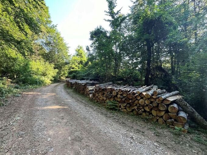 Φωτογραφία Ξεκίνησε η διάθεση καυσόξυλων για την κάλυψη αναγκών ευπαθών ομάδων